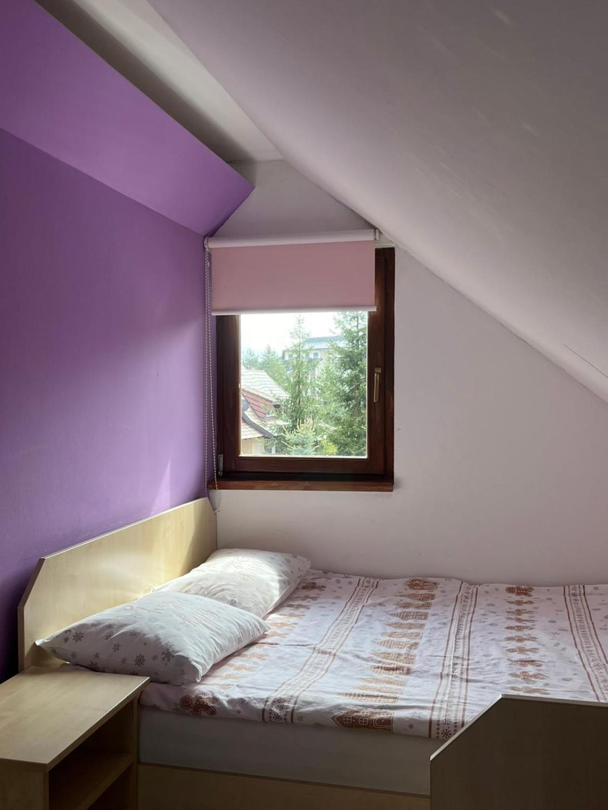 Apartmani Nika 兹拉蒂博尔 外观 照片